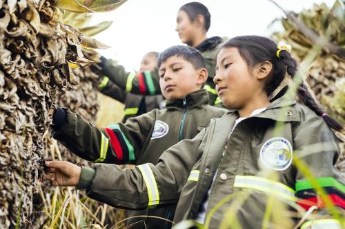 Working with the Environmental Indigenous Guard members