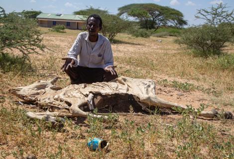Sugow Abdullahi Abdi, a farmer, stands over one of his deceased animals.