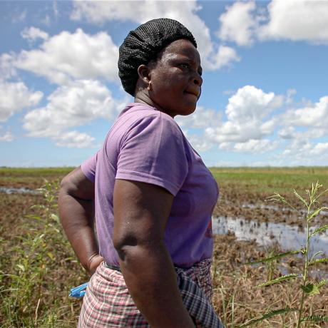Flooding in Sofala province, Mozambique, once again destroyed harvests and homes.