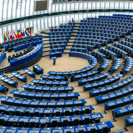 The European Parliament