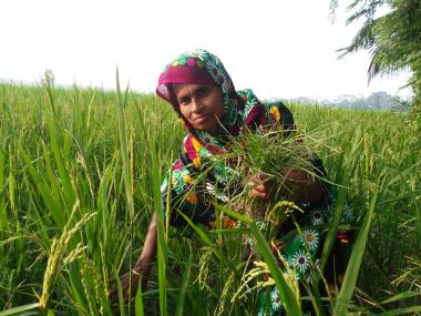 Nasima, 35, is a smallholder farmer.